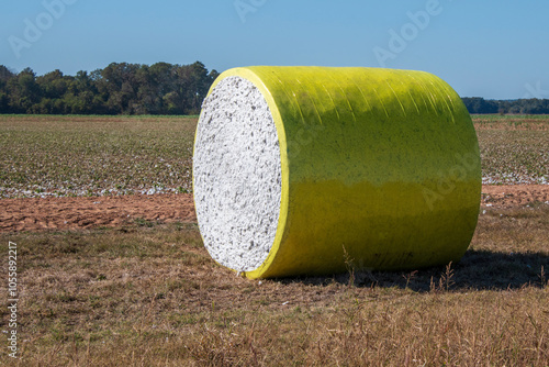 Cotton Bale Ready for Transport photo