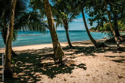 Scenic tropical beach in Ko Phangan, Thailand