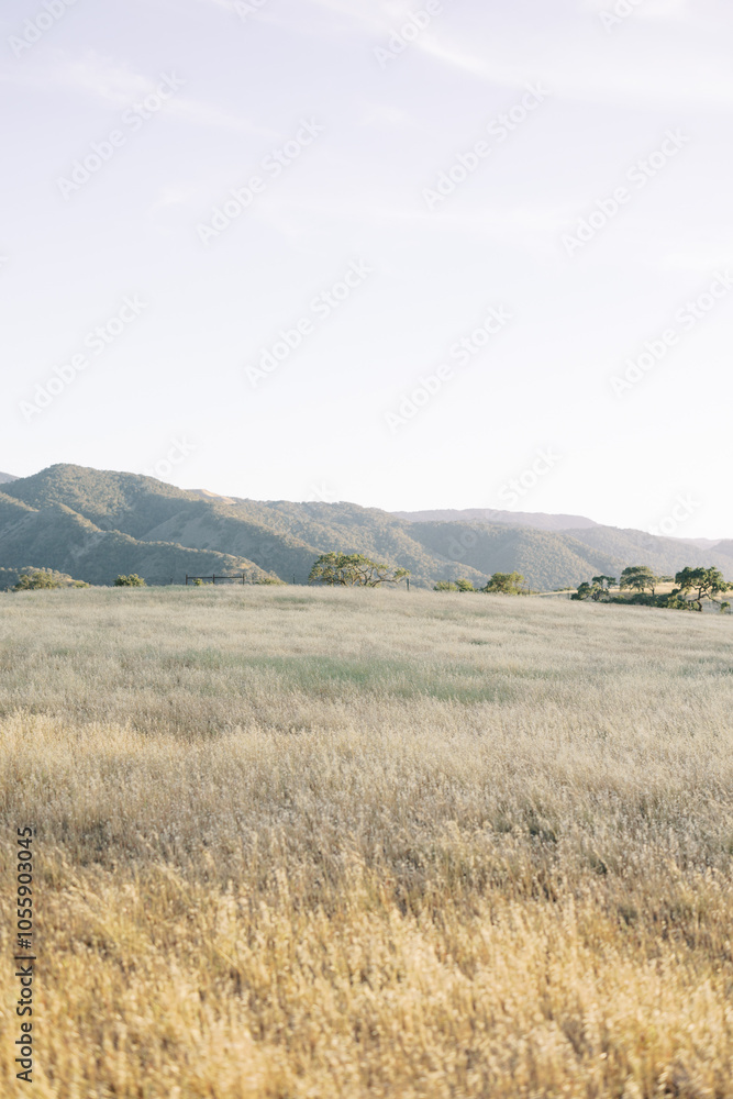 A scenic view of rolling hills with golden grassy fields, showcasing the natural beauty of the countryside. A scenic view of rolling hills with golden grassy fields, showcasing the natural beauty of the countryside.