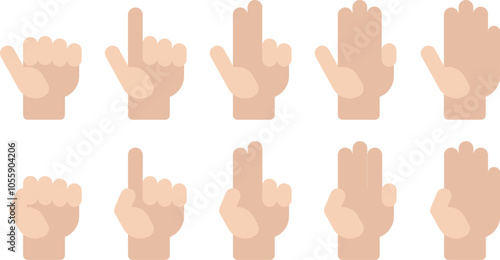 Flat vector Hand Count number hand