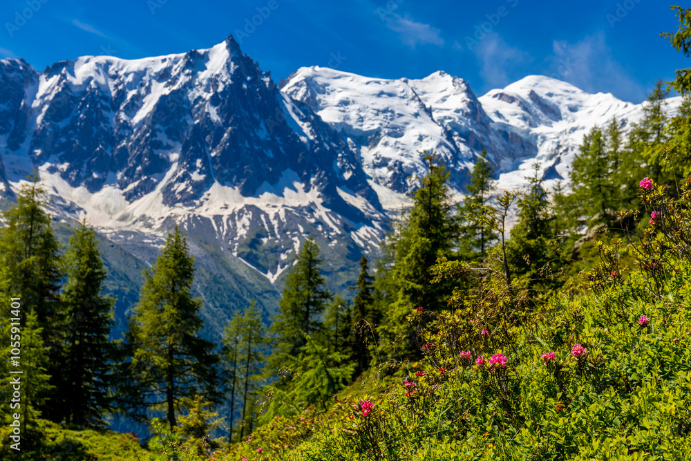 Fototapeta premium Mont Blanc, Monte Bianco mountain summit snow dome above the Chamonix valley in France. Highest peak in Europe in the Alps, alpice scenic view of Montblanc