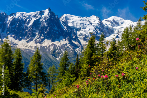 Mont Blanc, Monte Bianco mountain summit snow dome above the Chamonix valley in France. Highest peak in Europe in the Alps, alpice scenic view of Montblanc