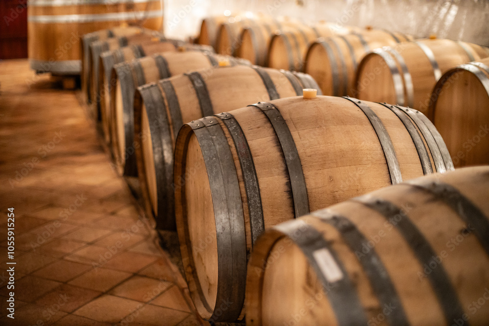 Wooden Wine Barrels in Traditional Aging Cellar Wooden Wine Barrels in Traditional Aging Cellar