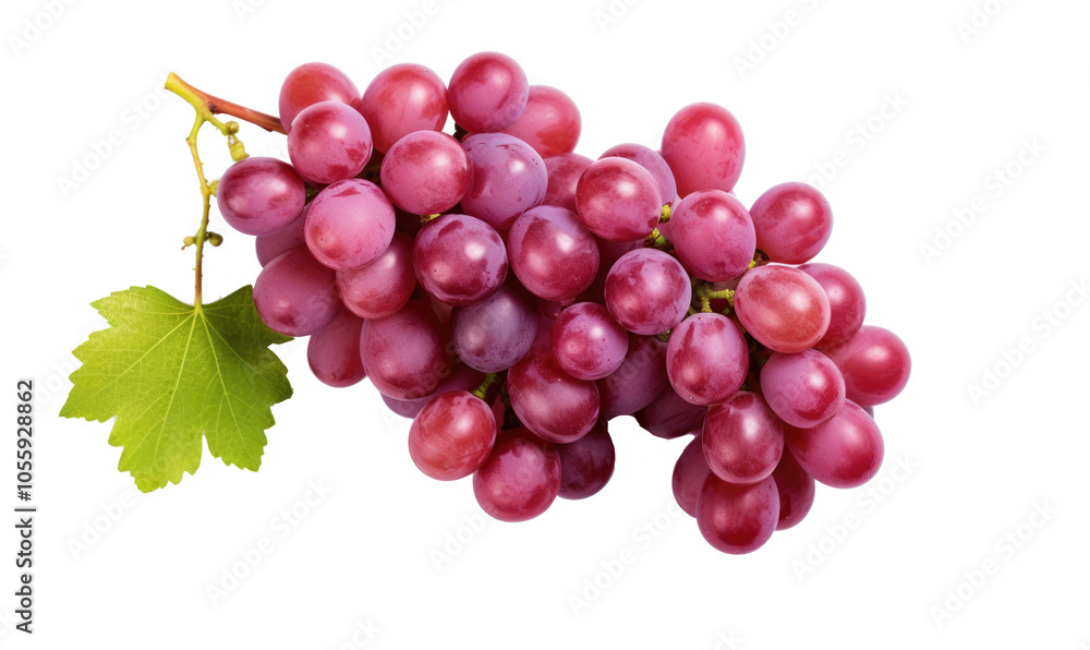 Fototapeta premium Grape Export Type on transparent background