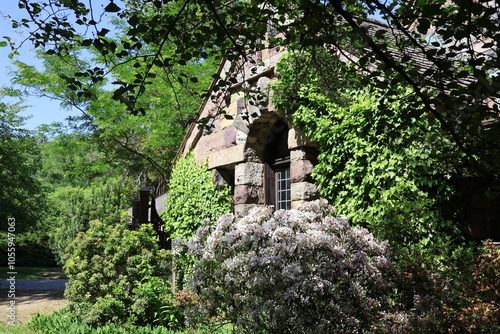 old stone house with ivy