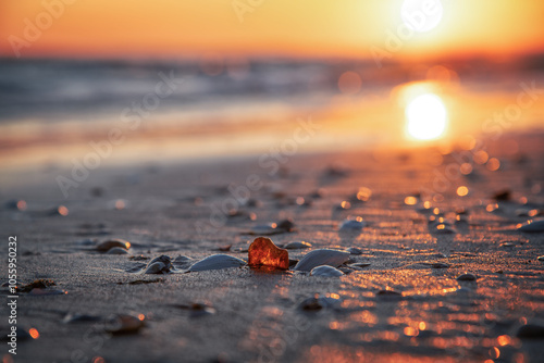 Bernstein mit Muscheln am Strand im Sonnenaufgang