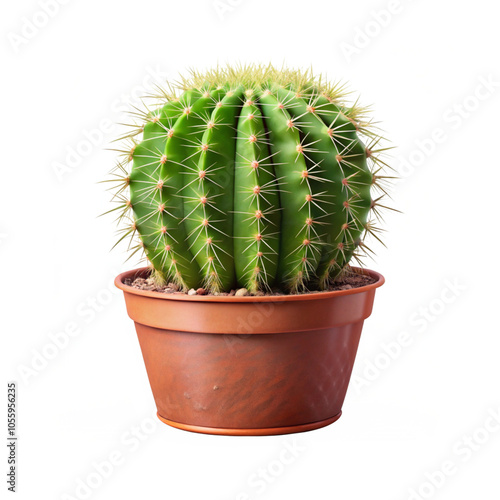 Potted Cactus with Detailed Spikes PNG, high-quality Potted Cactus with a transparent background, Potted Cactus with Detailed Spikes, transparent background