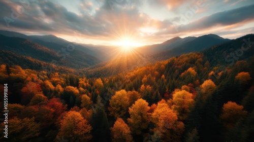 The majestic sunrise casts a radiant glow over a dense forest displaying vibrant autumn hues, with mountains in the background, conveying peace and awakening. photo