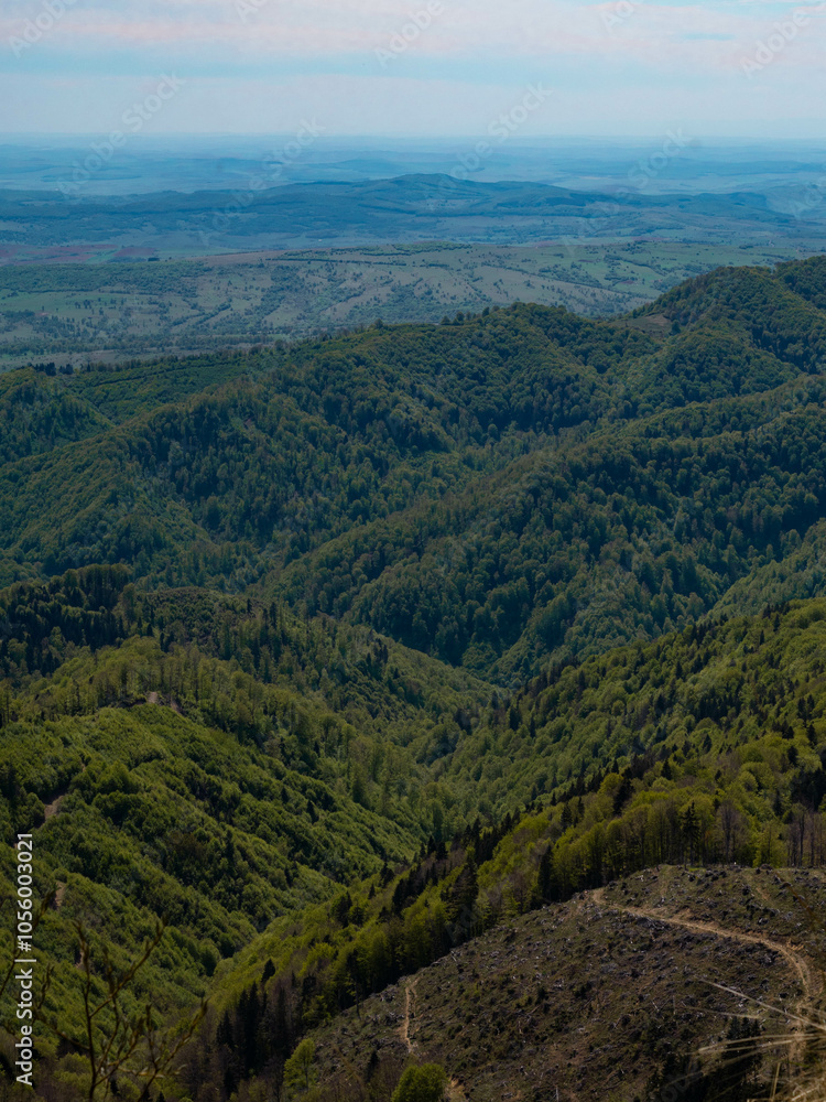 Naklejka premium View from mountain hill overlooking green forest