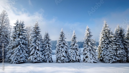 Snow dusted Christmas trees lined up with silhouettes of a winter forest in the background. Generative AI