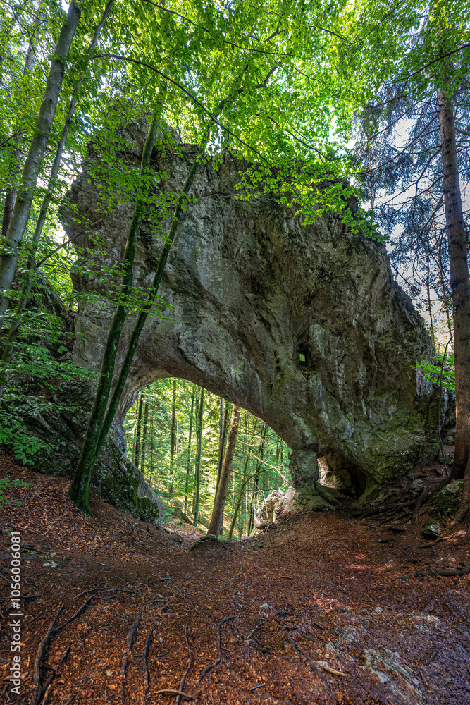 Steintor Rock above the Kesselfallsteig, Austria Steintor Rock above the Kesselfallsteig, Austria