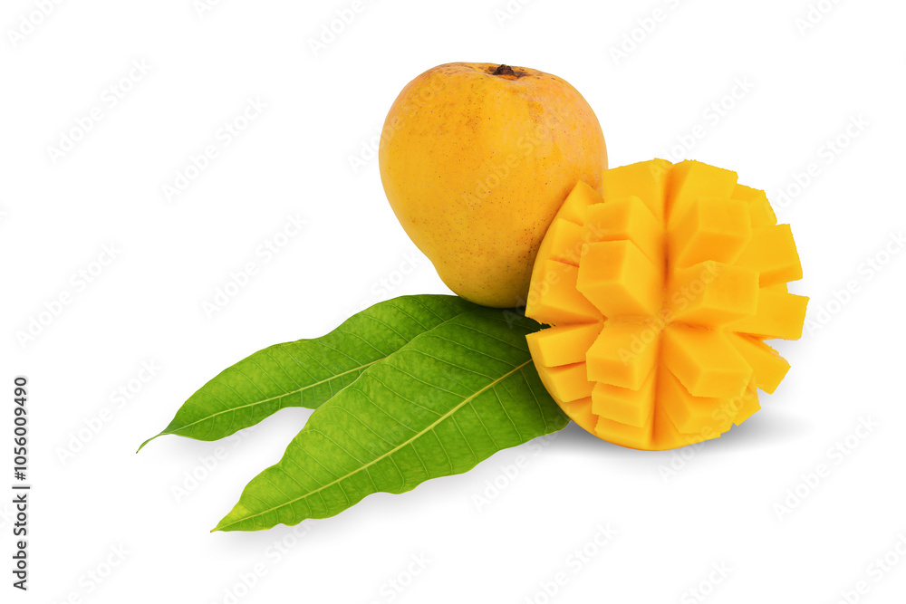 mango fruit isolated on white background. This has clipping path. mango fruit isolated on white background. This has clipping path.