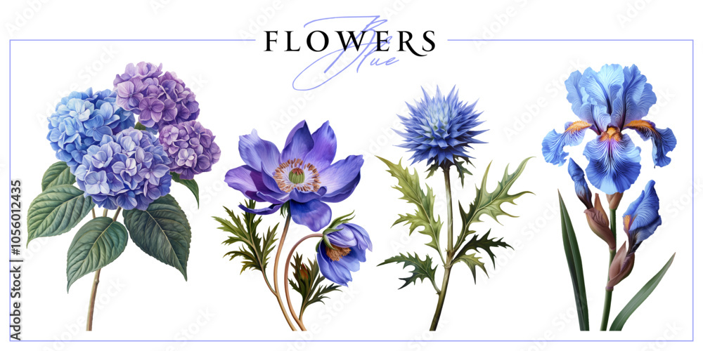 Blue garden flowers isolated on a white background. Vintage painting style illustration.