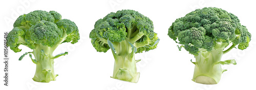 3 different broccoli isolated on a transparent background PNG