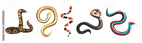 Venomous Snake and Serpent of Different Type Vector Set