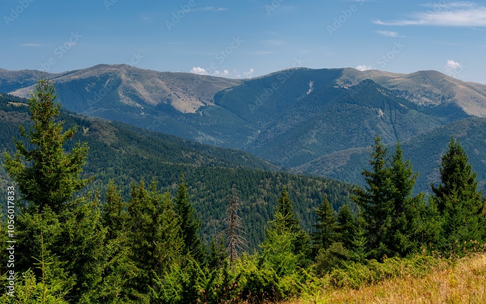 Beautiful view of lush green trees with mountains in the background Beautiful view of lush green trees with mountains in the background