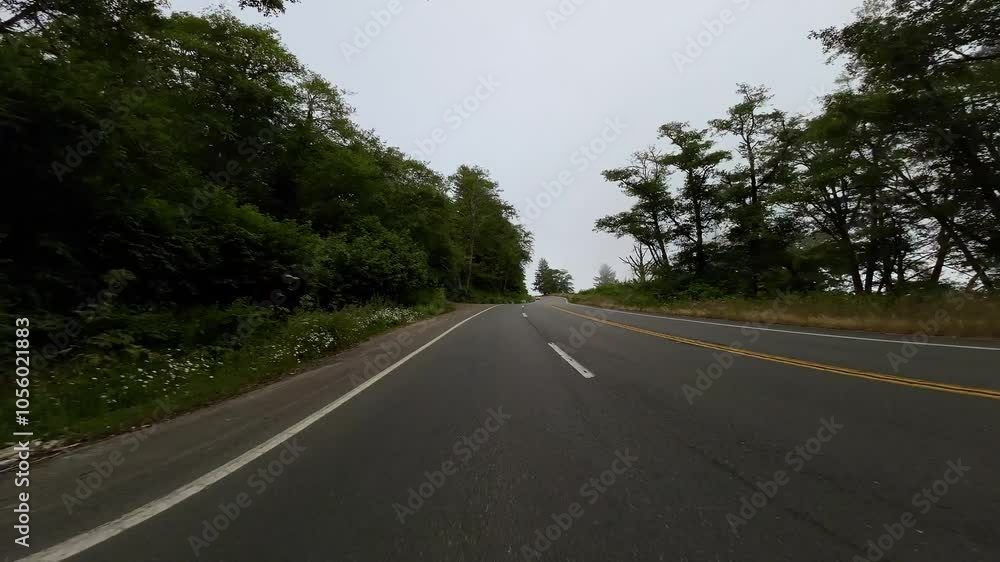 Foggy Coastal Highway 03 Rear View 101 Northbound Driving Plates of California USA Ultra Wide