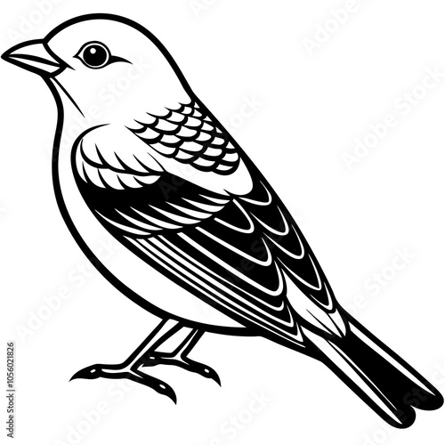 Scarlet Tanager vector silhouette 