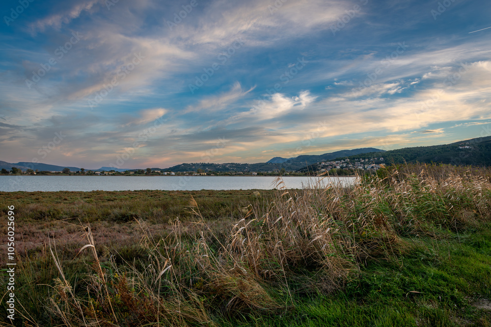 Reeds growing on the edge of a wetland nature reserve with beautiful sunset colour sky clouds. A nature, ecology and environmental background.