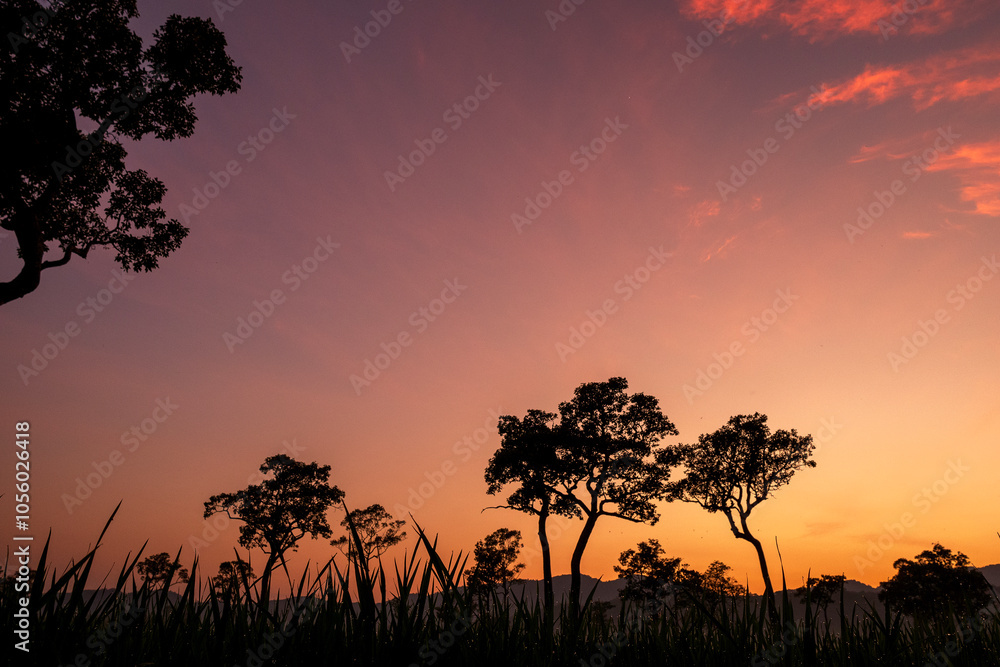 Scenic view dramatic beautiful sunset sky. Natural Sunset Sunrise on meadow silhouette shadow dark land. Vibrant dramatic sky on sunset, dawn, sunrise in Countryside. Landscape Colorful Sky At Sunset Scenic view dramatic beautiful sunset sky. Natural Sunset Sunrise on meadow silhouette shadow dark land. Vibrant dramatic sky on sunset, dawn, sunrise in Countryside. Landscape Colorful Sky At Sunset
