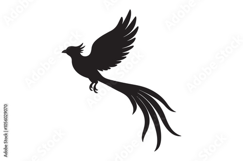 Resplendent Quetzal Silhouette vector illustration, Resplendent Quetzal Silhouette 