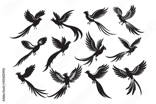 Resplendent Quetzal Silhouette vector Bundle, Resplendent Quetzal Silhouette vector illustration