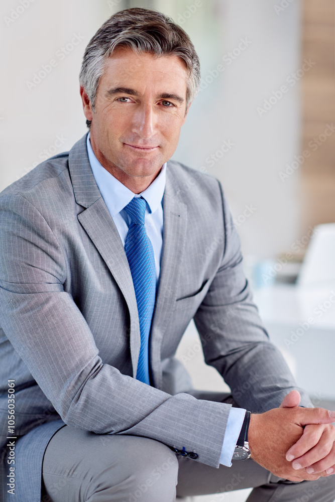 Portrait, mature businessman and confidence in workplace as accounting executive for financial agency. Male person, pride and professional in corporate, company or firm for audit or compliance in USA Portrait, mature businessman and confidence in workplace as accounting executive for financial agency. Male person, pride and professional in corporate, company or firm for audit or compliance in USA