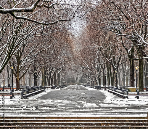 Central Park the Mall photo