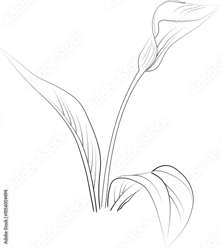 Принти на полотні Birth flower calla cathartica doodle bouquet of flower design for card or print
