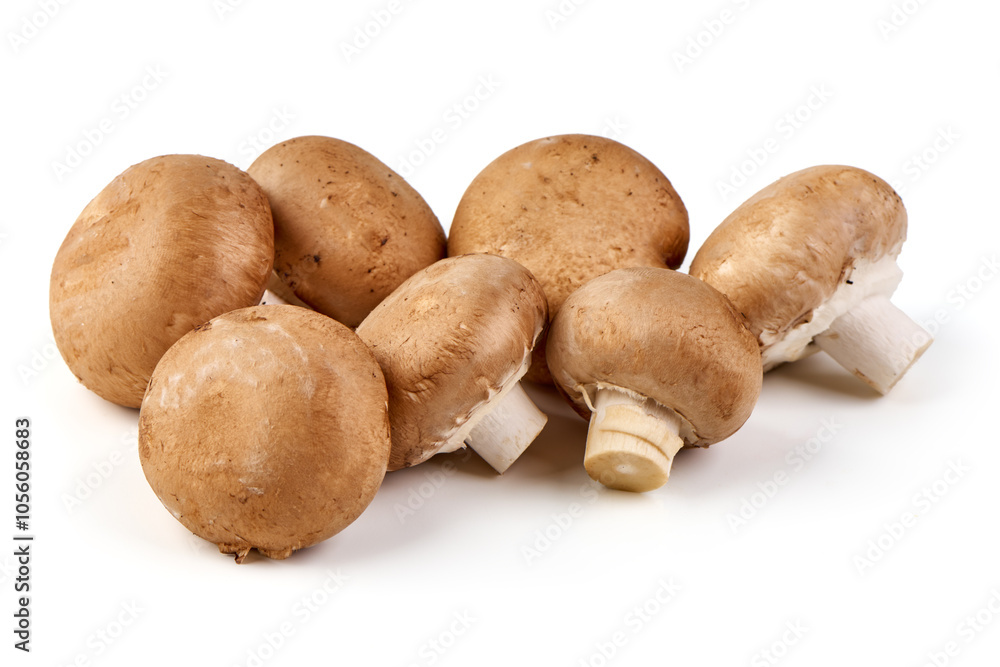 Royal brown champignons, isolated on white background. Royal brown champignons, isolated on white background.