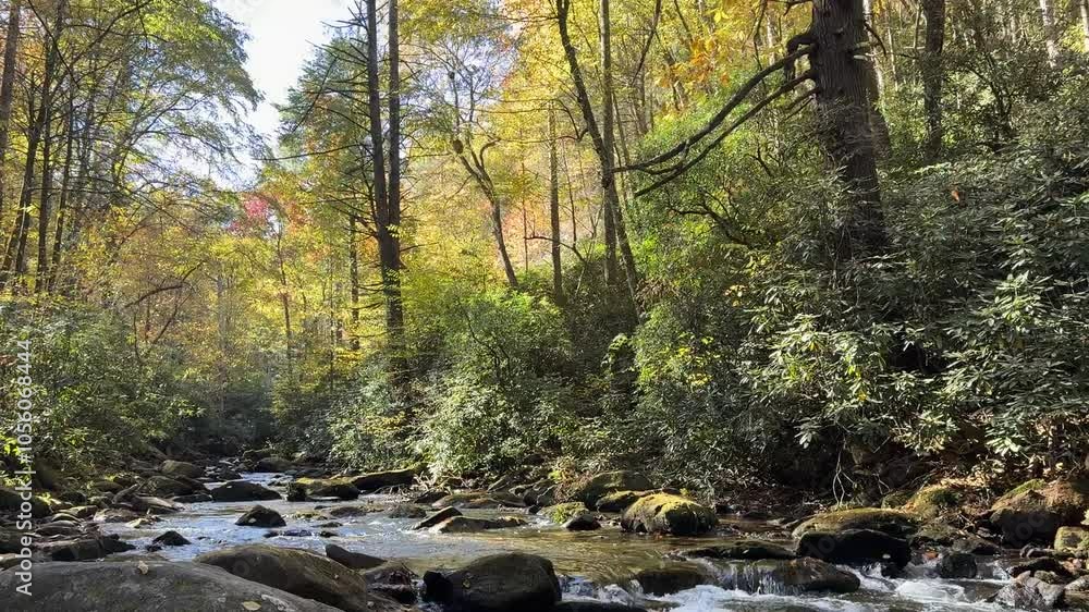 Colorful Fall day in river leaves falling water rushing over rocks fishing wildlife nature mountains Colorful Fall day in river leaves falling water rushing over rocks fishing wildlife nature mountains