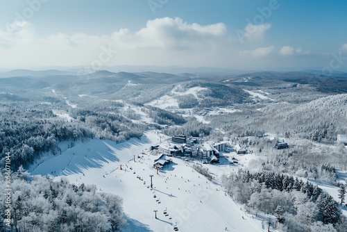 Wallpaper Mural Vue aérienne d'une station de ski en montagne par temps neigeux
 Torontodigital.ca
