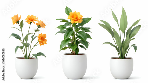 Potted Plants with Orange Flowers and Green Leaves