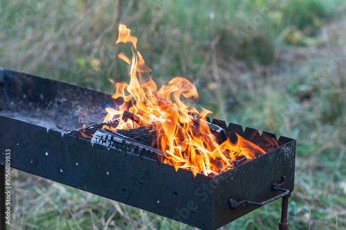 barbecue in the garden