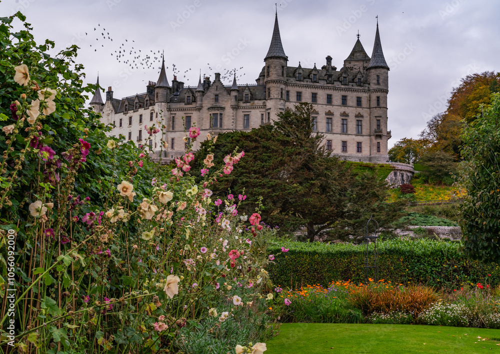 Fototapeta premium The road to Wick Scotland