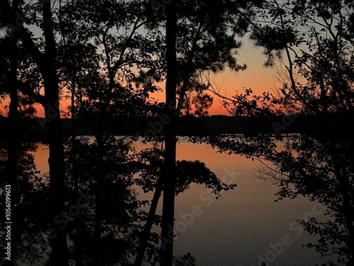 Sunset lake view through pine trees summer evening
