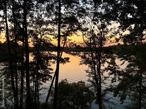 Sunset lake view through pine trees summer evening