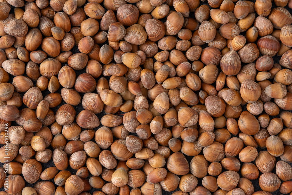 Nuts background. Hazelnut food. Kernel raw seed. Hazel nut shell Nuts background. Hazelnut food. Kernel raw seed. Hazel nut shell