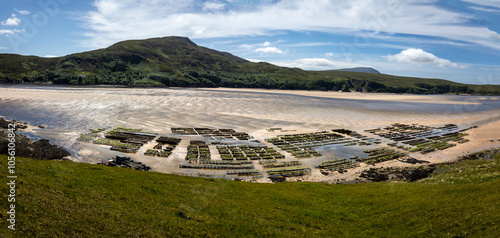 Panorama photo of a mussel farm in the beautiful yellow sea sand at low tide on the North West coast of Scotland near Cape Wrath