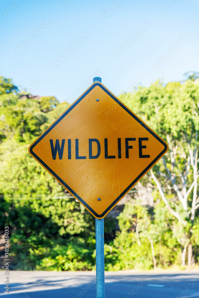 Wildlife warning sign on road on Magnetic Island, Queensland, Australia