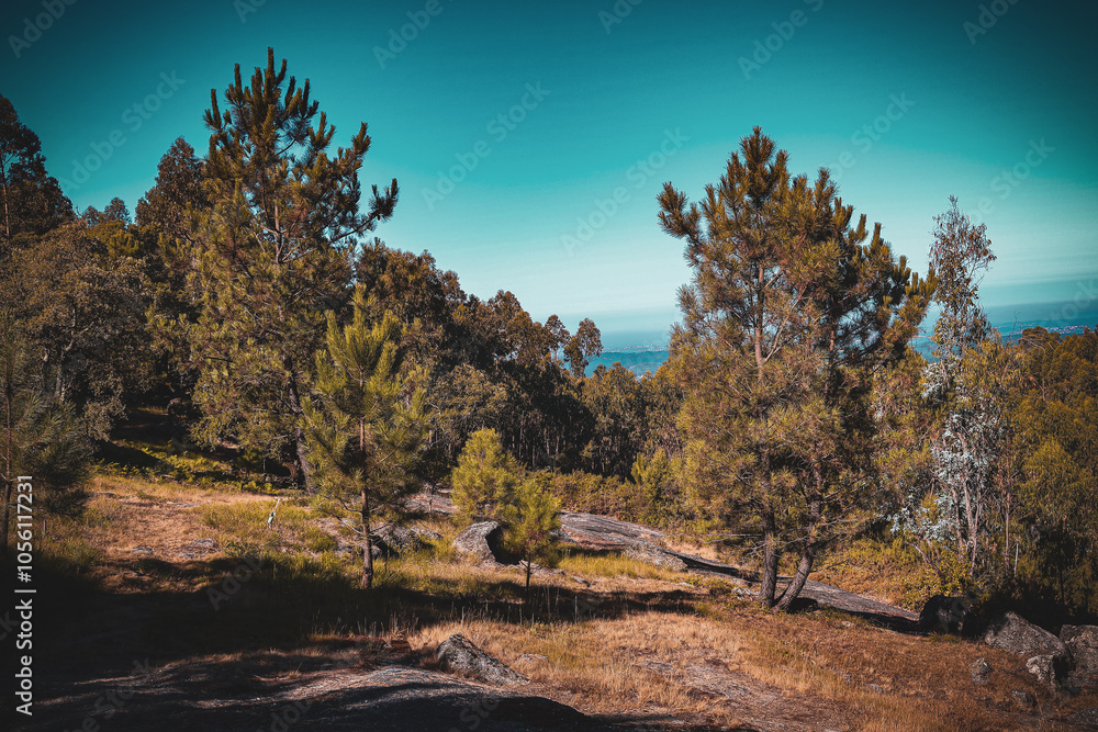 Fototapeta premium autumn in the mountains