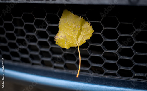 Obraz na płótnie Yellow aspen leaf on a car bumper grille w salonie