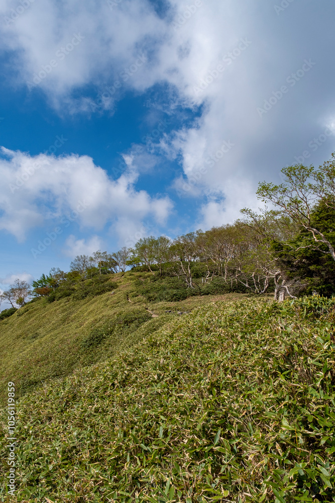 五色山へ続く登山道 栃木県日光市日光国立公園 五色山へ続く登山道 栃木県日光市日光国立公園