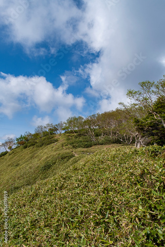 五色山へ続く登山道　栃木県日光市日光国立公園 photo