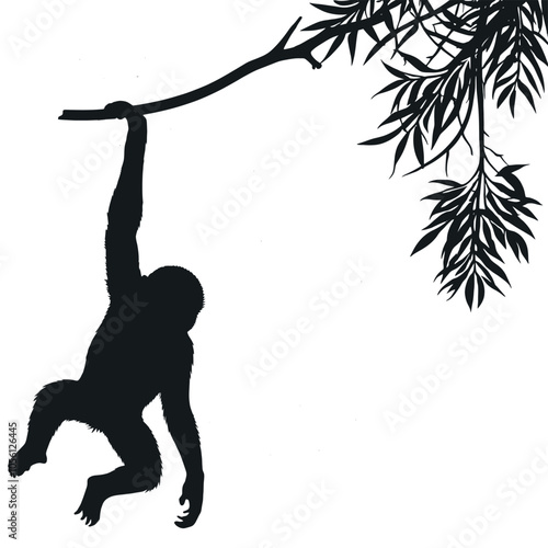 Obraz na płótnie a monkey a monkey hanging on the tree stick vector silhouette w salonie