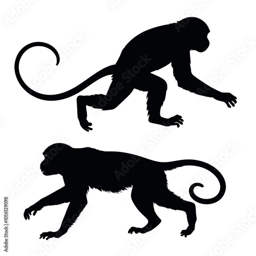Obraz na płótnie a monkey running vector silhouette, fill with black color, isolated white background w salonie