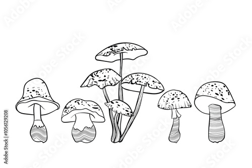 Set of mushrooms. Hand drawn vector illustration. Vegan food menu. Poisonous and edible mushroom. Autumn mushroom picking, forest plant sketches