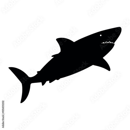 a shark vector silhouette, black color silhouette