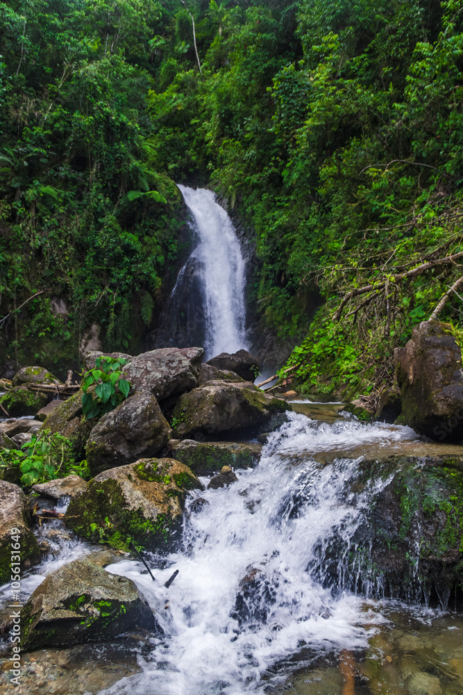 Naklejka premium Catarata Gallito de las Rocas - Satipo, Junín, Perú
