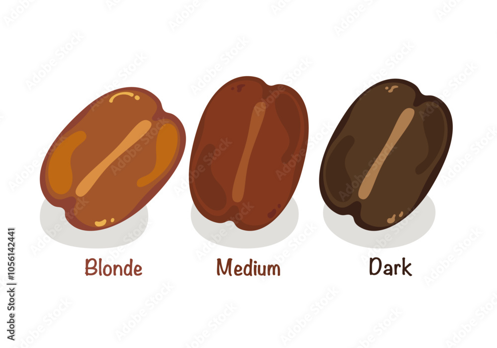 Set of vector illustrations of delicious cafe coffee drinks. Stages of roasting of coffee beans, light, medium, dark. Isolated on a white background. For designing food and drink menus Easy to edit. Set of vector illustrations of delicious cafe coffee drinks. Stages of roasting of coffee beans, light, medium, dark. Isolated on a white background. For designing food and drink menus Easy to edit.